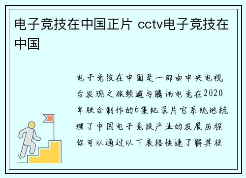 电子竞技在中国正片 cctv电子竞技在中国